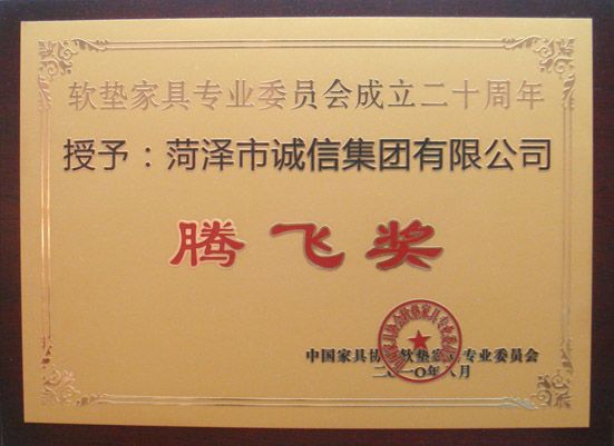 2010年 中国家具行业腾飞奖